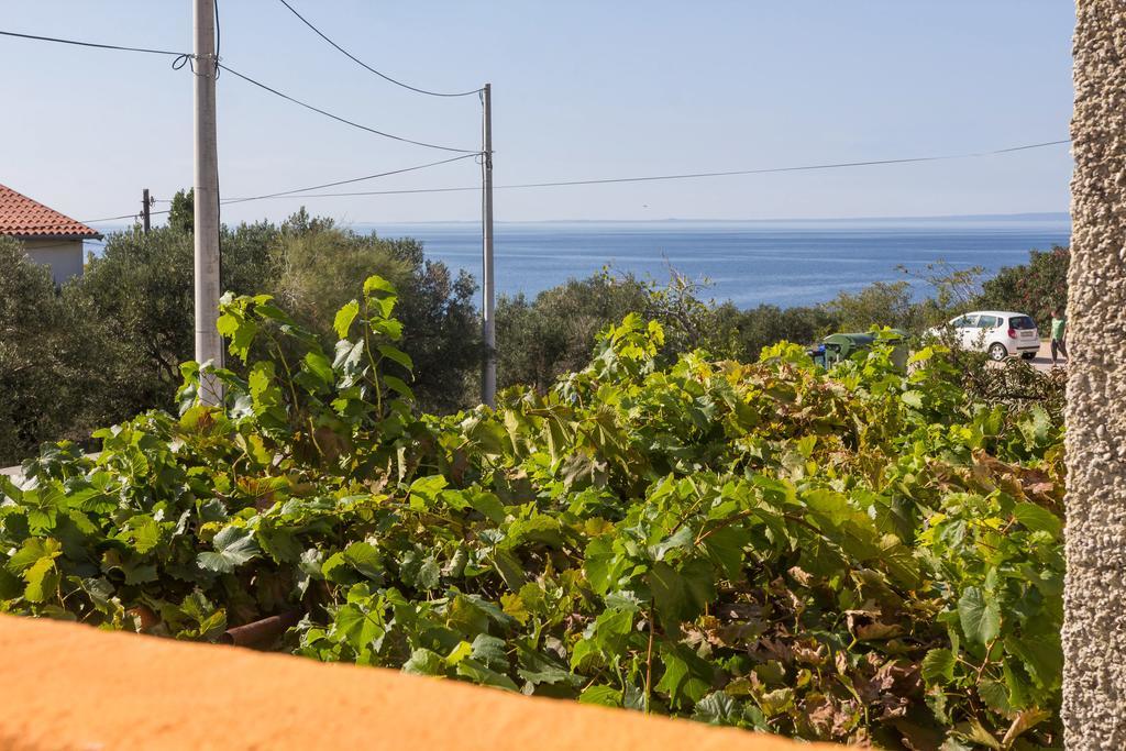 Apartment Agava Miholascica